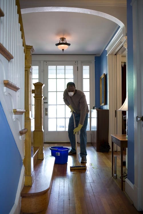 Regualr Home Cleaning Professional and Expert